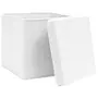 VIDAXL Boîtes de rangement avec couvercles 10 pcs 28x28x28 cm Blanc