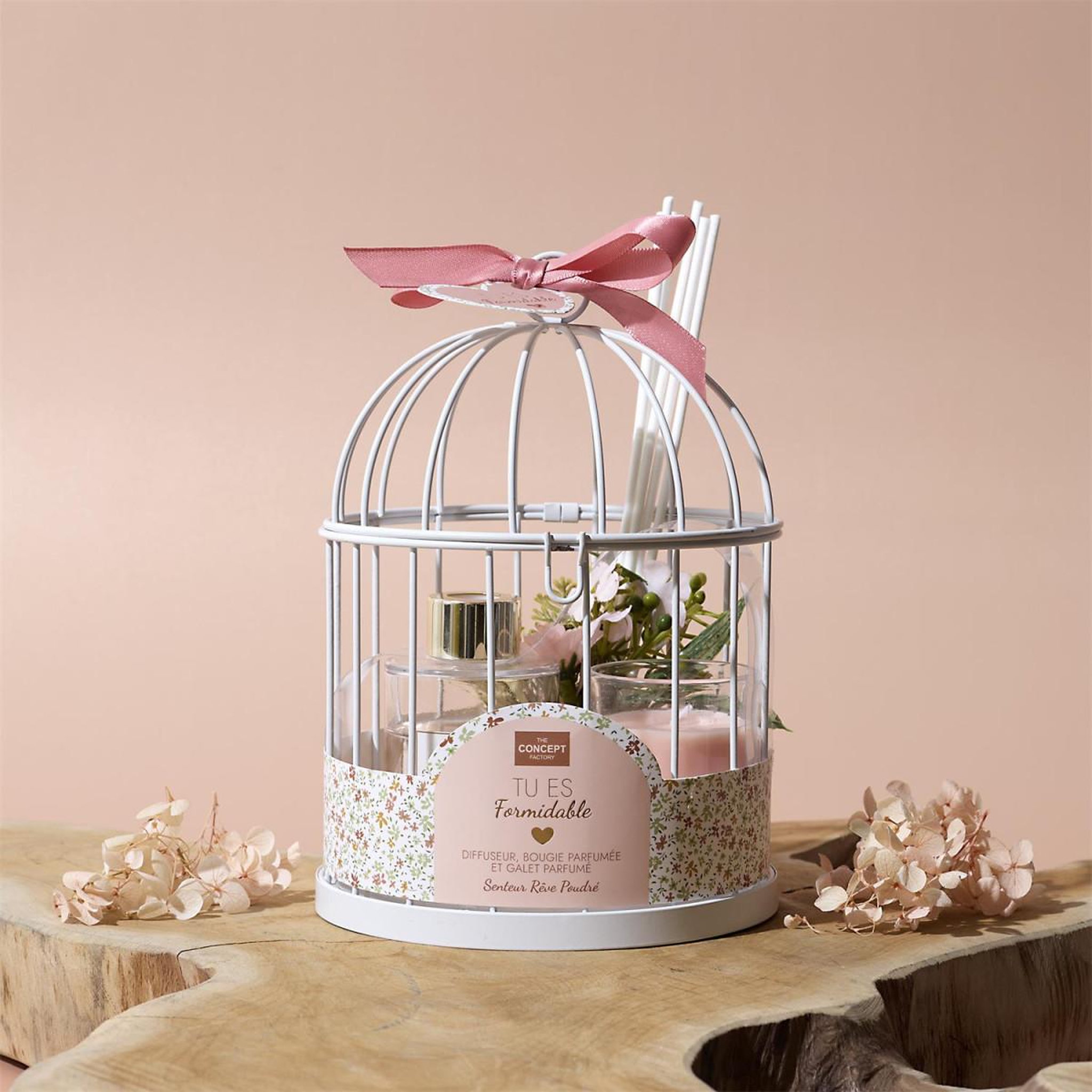 Voir la diapositive 5 : The Home Deco Factory Coffret senteur  cage  20cm rêve poudré