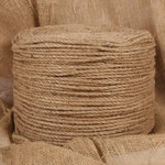 VIDAXL Corde de jute 100 m de long 6 mm d'epaisseur