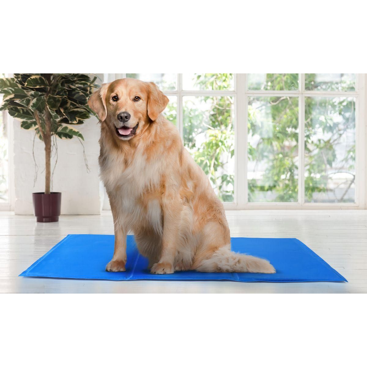 Idomya E. TAPIS RAFRAICHISSANT 50*90 CM