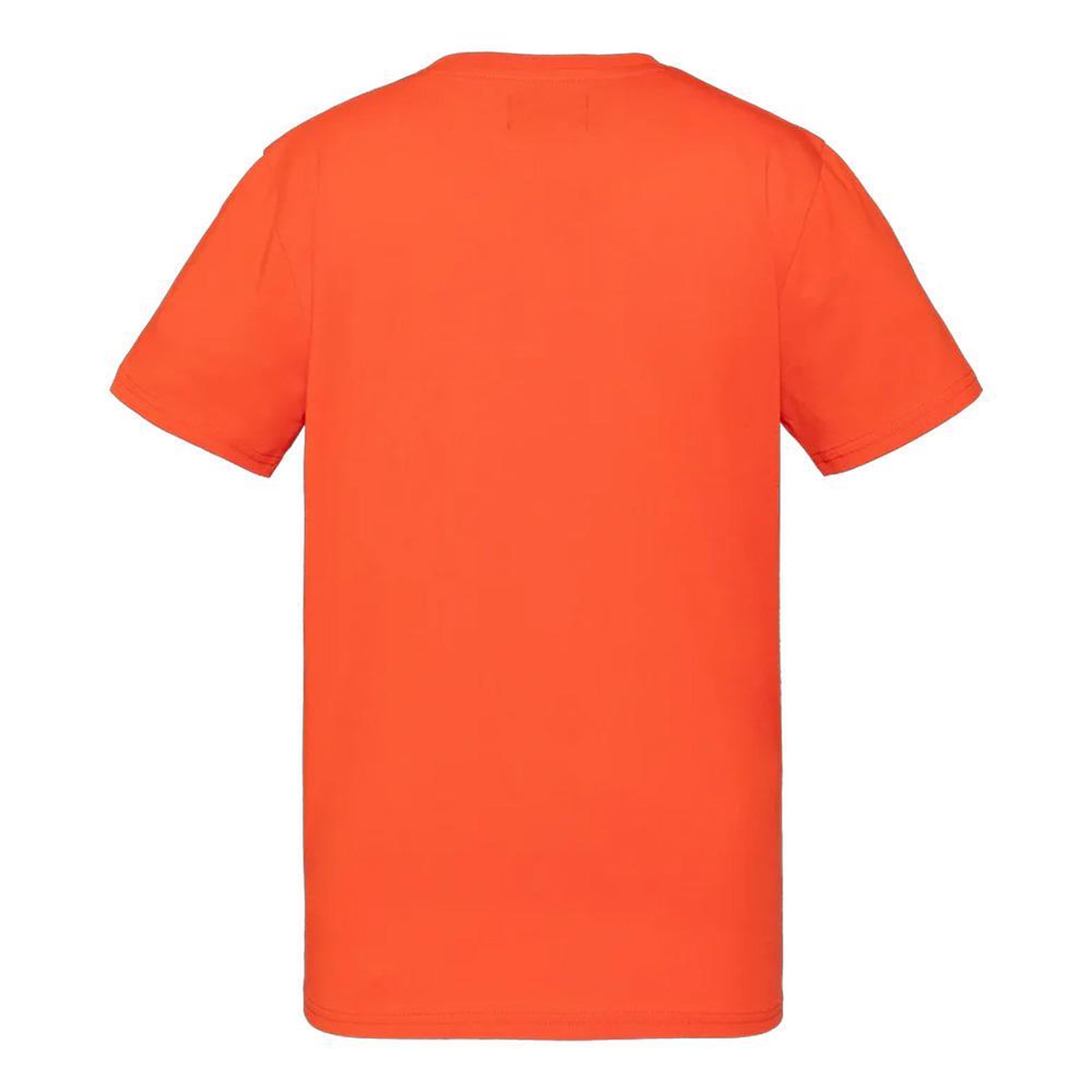 Voir la diapositive 2 : Schott T shirt  Garçon Schott USTOUR