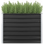 Voir la diapositive 1 : VIDAXL Lit sureleve de jardin Anthracite 100x40x77 cm Acier galvanise