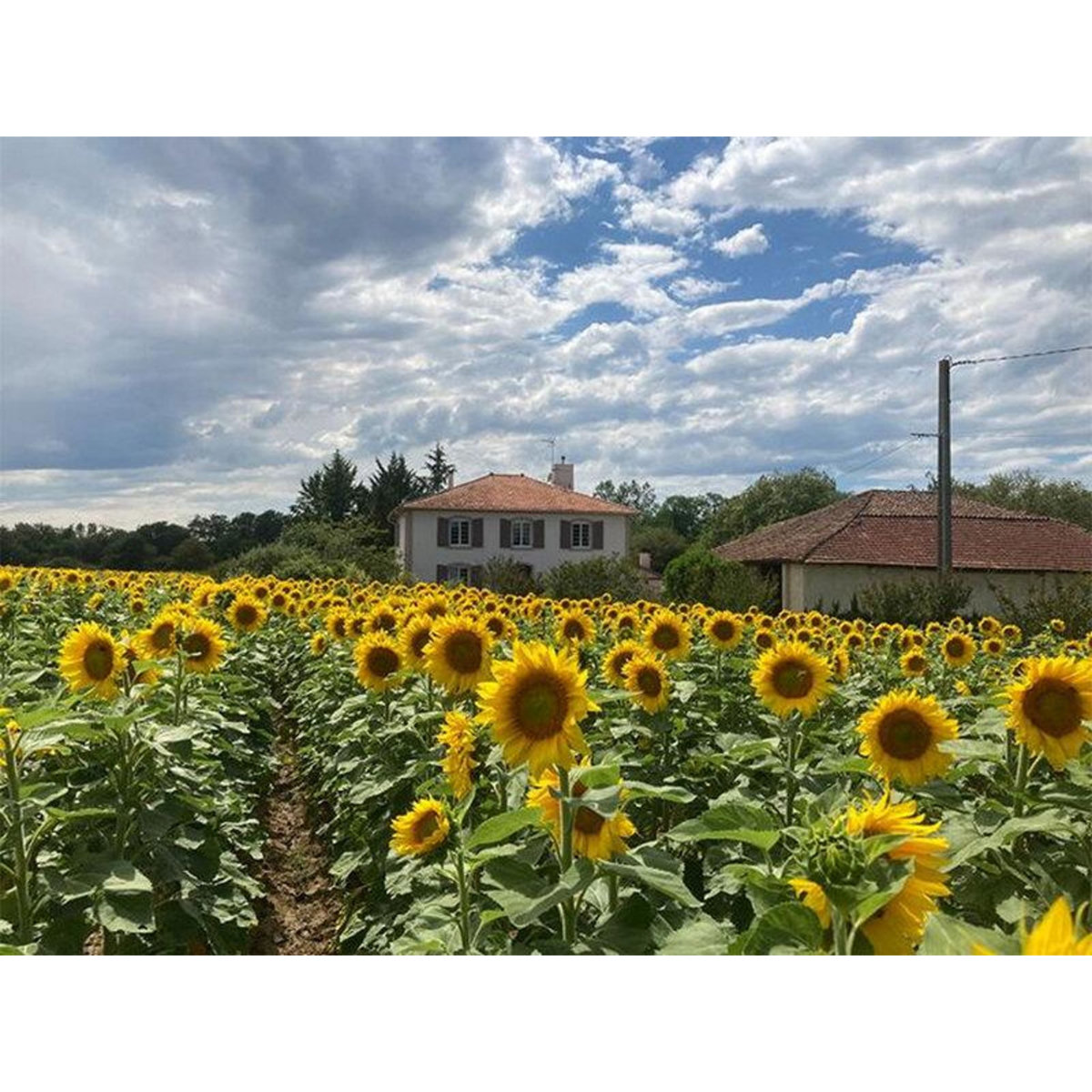 Smartbox 3 jours en famille avec dîner en maison d'hôtes près de Dax - Coffret Cadeau Séjour