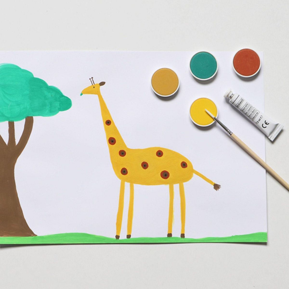 PRIMO Boîte d'aquarelle fine 12 couleurs Ø 30 mm