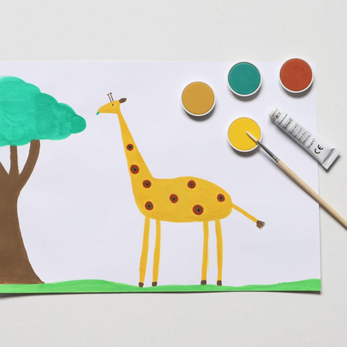 PRIMO Boîte d'aquarelle fine 12 couleurs Ø 30 mm