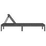 Voir la diapositive 5 : VIDAXL Chaises longues lot de 2 gris 199,5x60x74 cm bois massif de pin