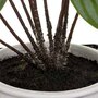  Plante Artificielle sur Pied  Maranta  32cm Vert