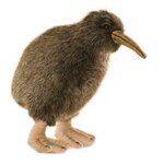 Anima - Peluche Kiwi 20cmH