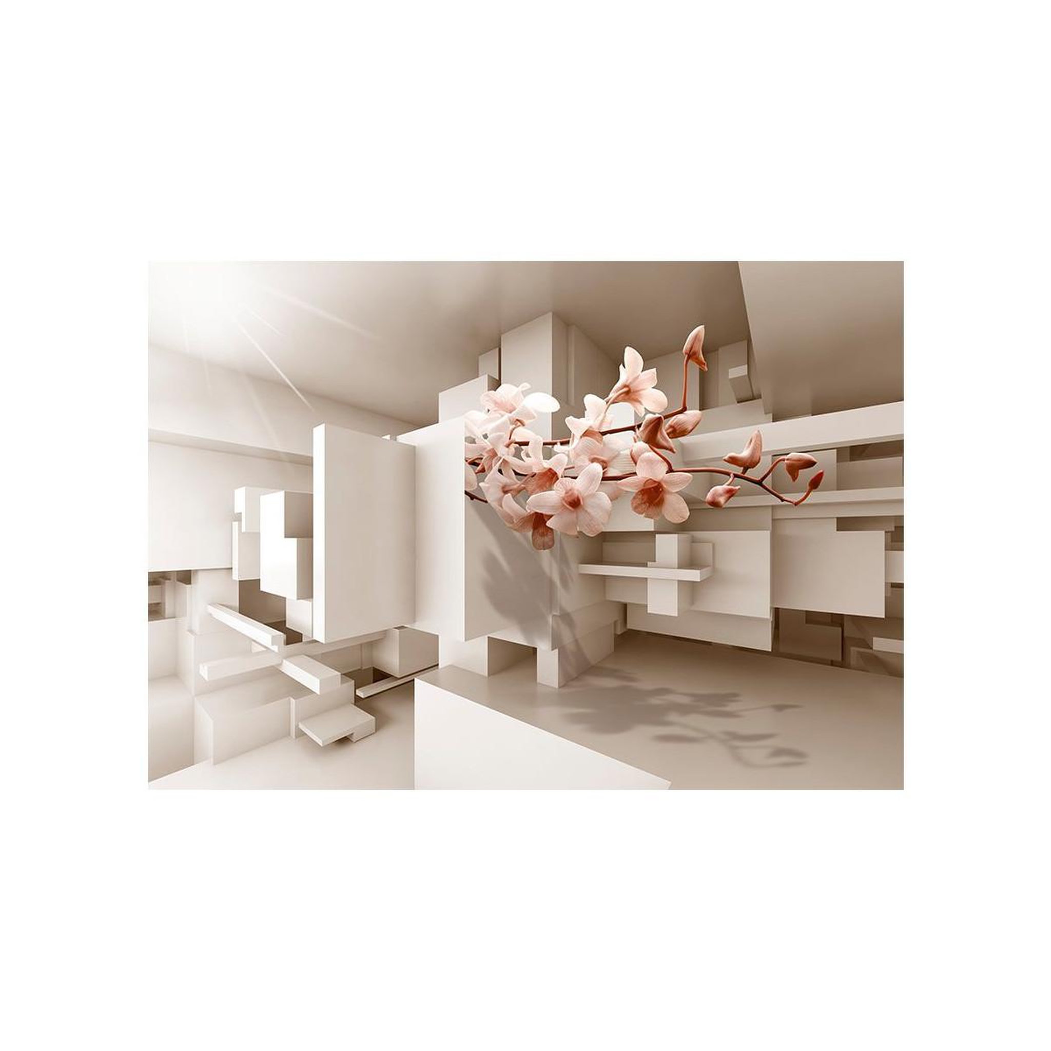 Voir la diapositive 2 : Paris Prix Papier peint  urban botany
