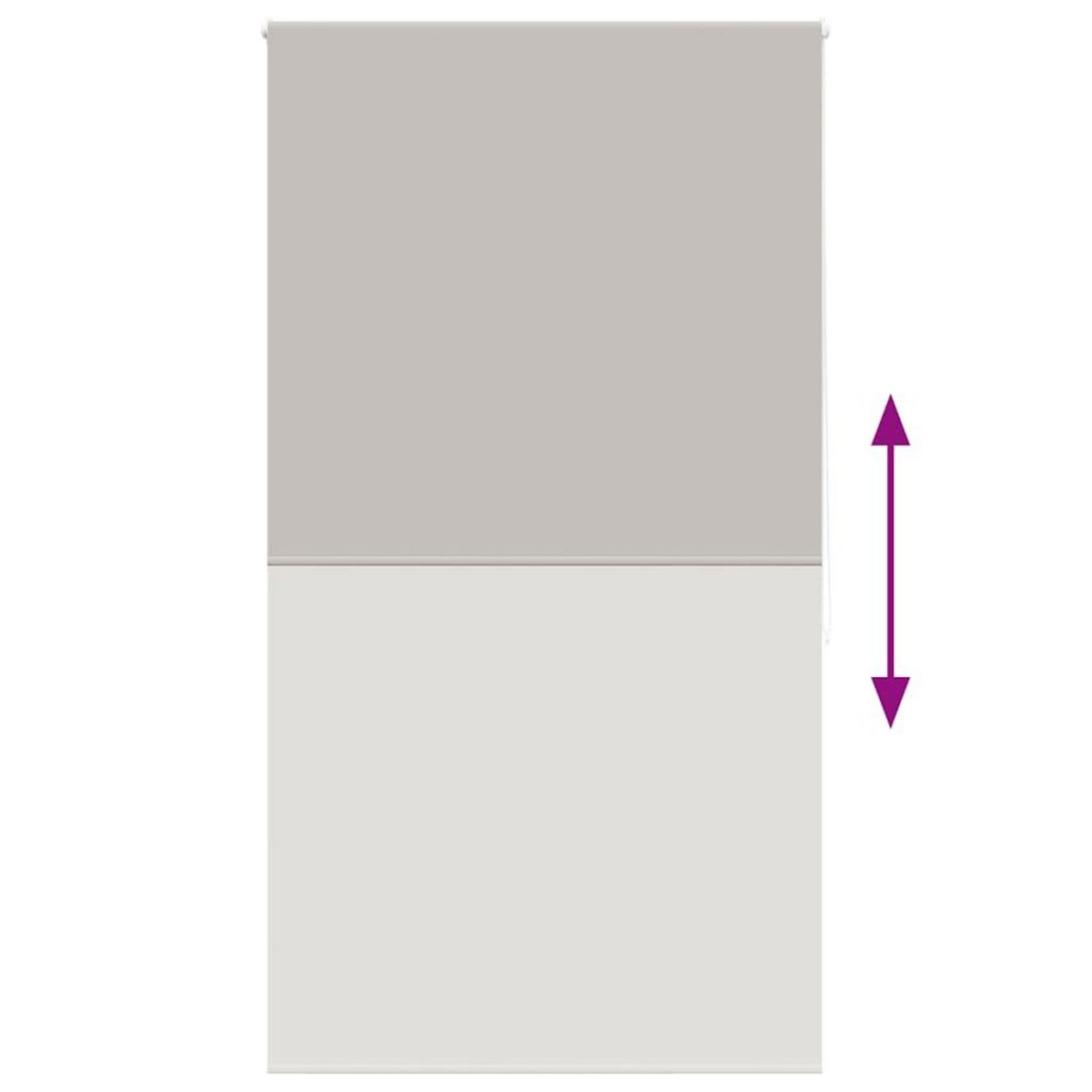 VIDAXL Store enrouleur de douche 140x240 cm largeur du tissu 136 cm