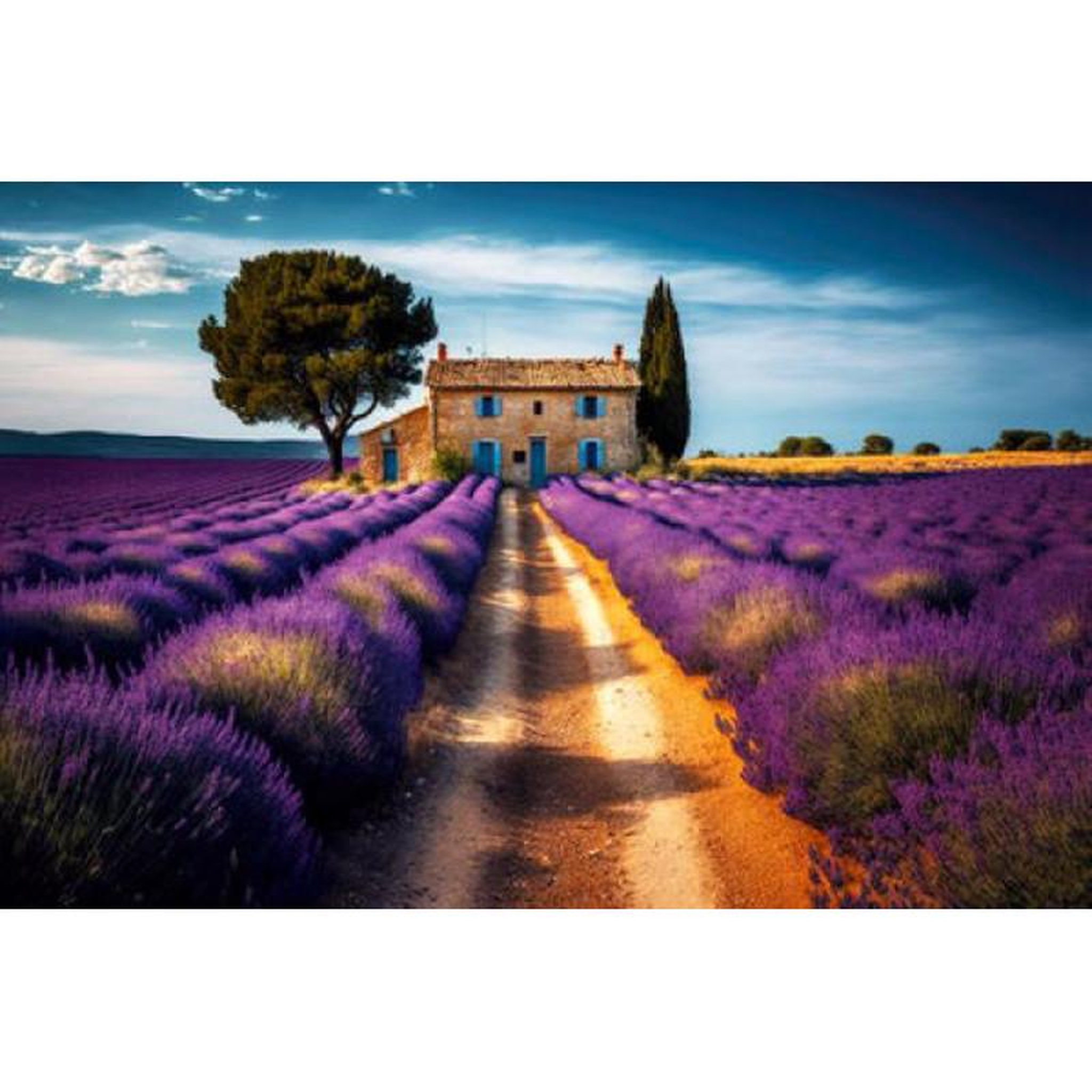 Voir la diapositive 2 : ALIZE Puzzle 1000 pièces Maison et champs de lavande – Paysage provençal – Adulte – Alizé