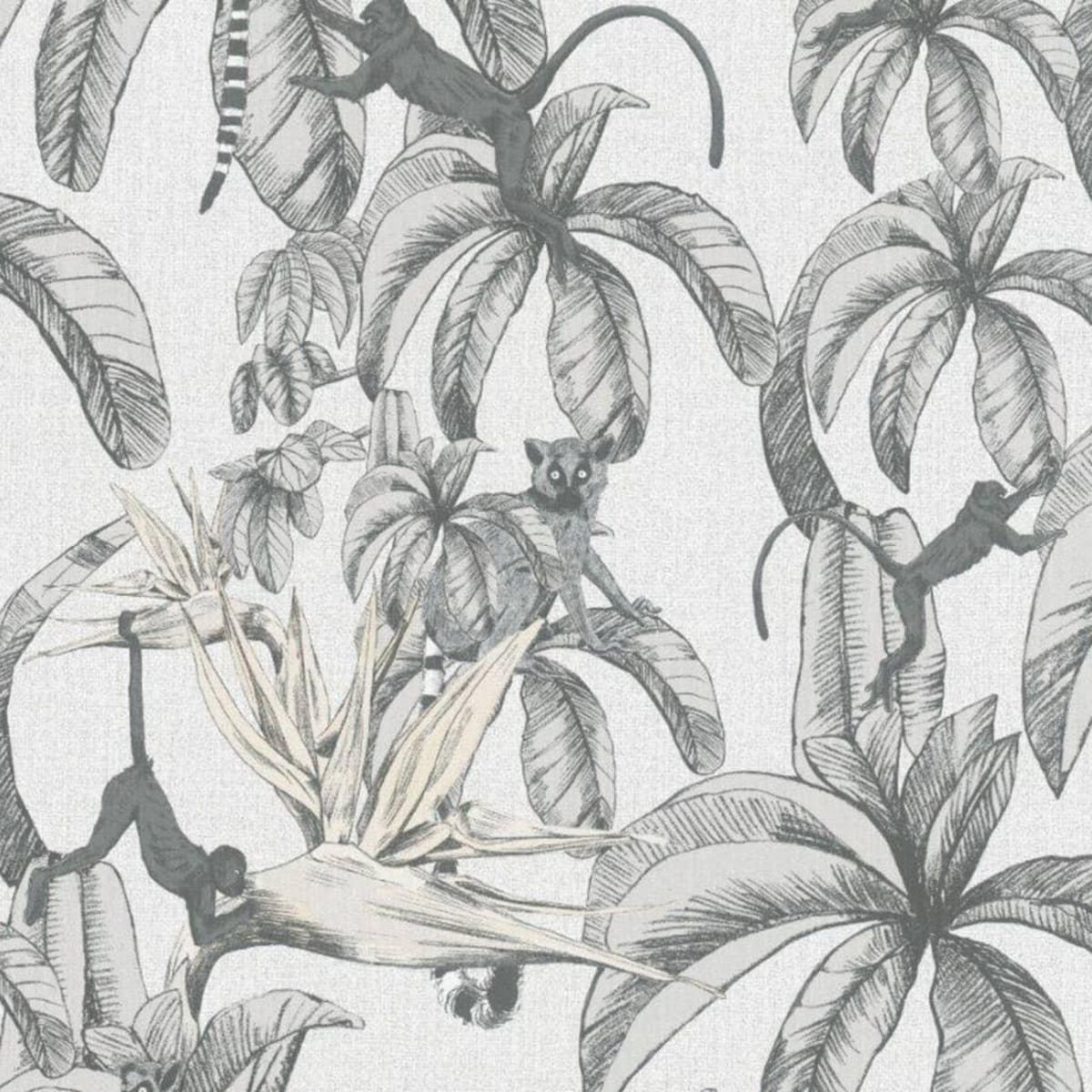 Noordwand Noordwand Papier peint Topchic Monkey Jungle Leaves Gris et noir