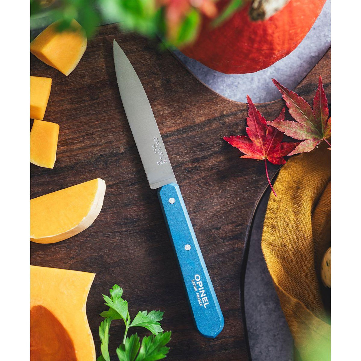 Opinel Couteau Coffret de 4 pcs N112 Paysage