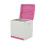 Voir la diapositive 2 : PLASTIKEN PLASTIKEN Coffre cadenassable avec roulettes - 190 L - Fonctionnel et esthetique - Beige et Fushia