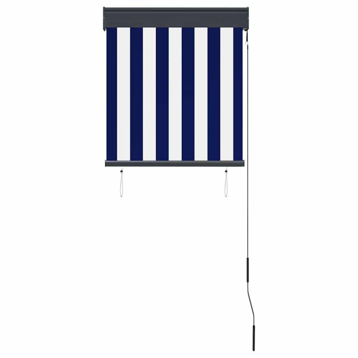 VIDAXL Store roulant d'exterieur 60x250 cm Bleu et blanc