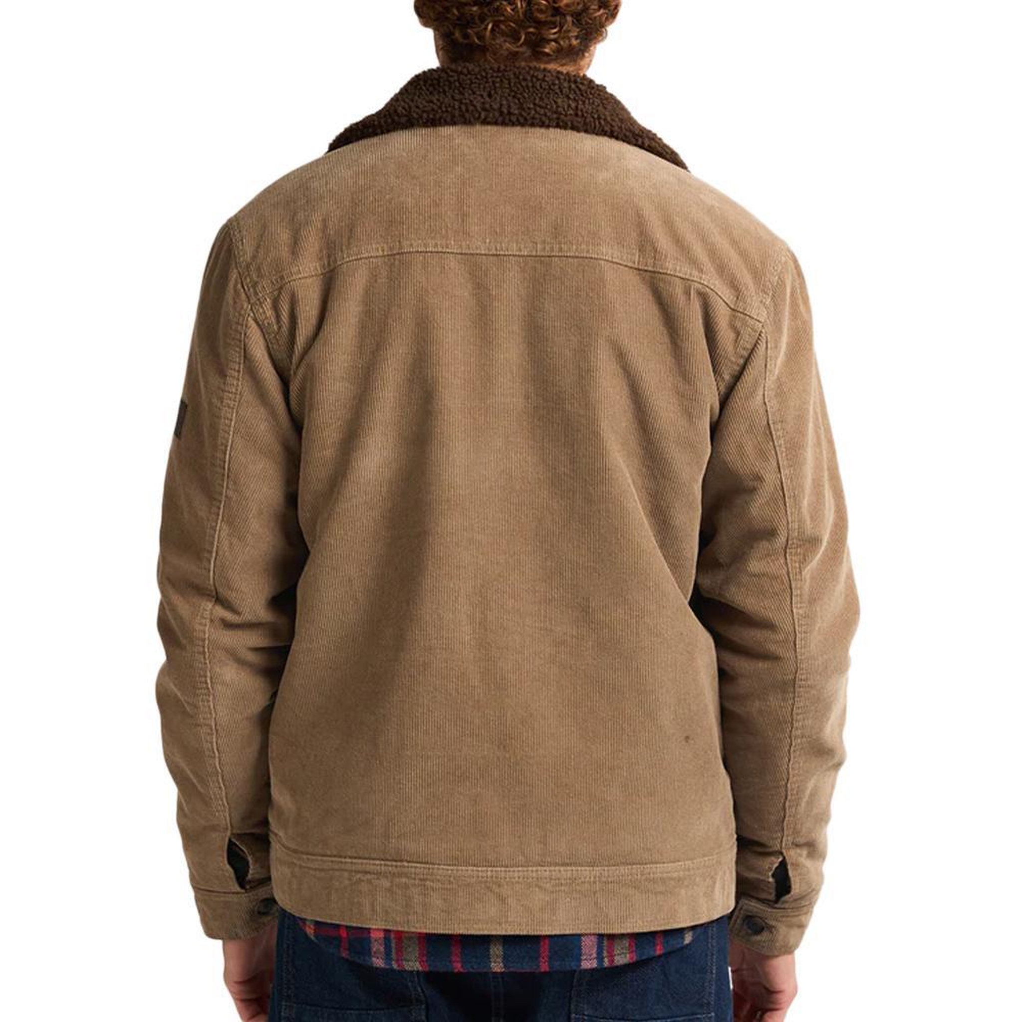 Voir la diapositive 2 : Petrol Industries Veste  Homme Petrol Industries Padded