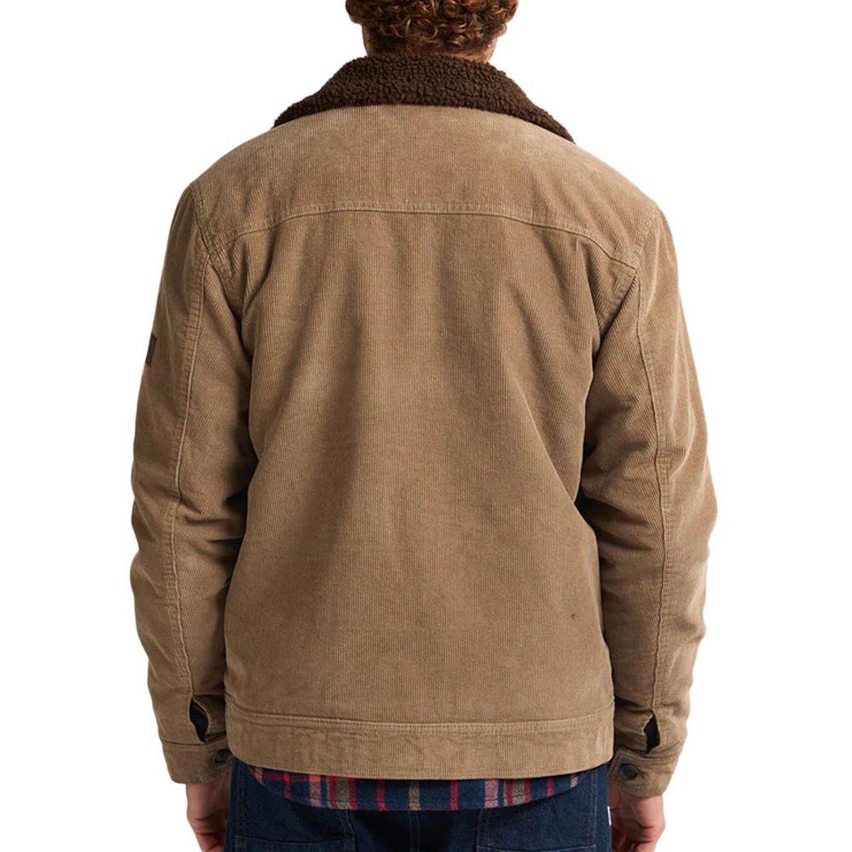 Petrol Industries Veste  Homme Petrol Industries Padded