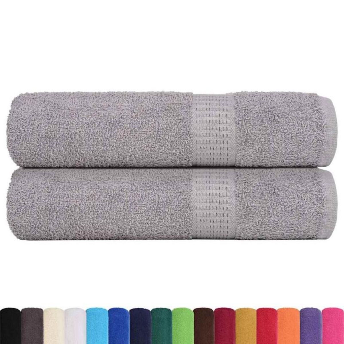VIDAXL Serviettes de douche 2 pcs gris 70x140 cm 360 g m² 100% coton