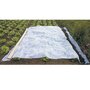 Voir la diapositive 1 :  Voile d'hivernage blanc 30g/m2 Werkapro 2 x 5 m