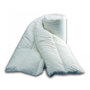 Voir la diapositive 2 : Bleu Calin Couette protection totale anti acariens 400 gr/m² 220 x 240 cm pour lit 2 places 140 x 190 cm à 160 x 200 cm - Blanc - 220 x 240 cm pour lit 2 places
