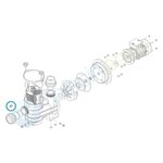 HYDROSWIM Insert laiton pour pompe Série HPS ou Série HGS - Hydroswim