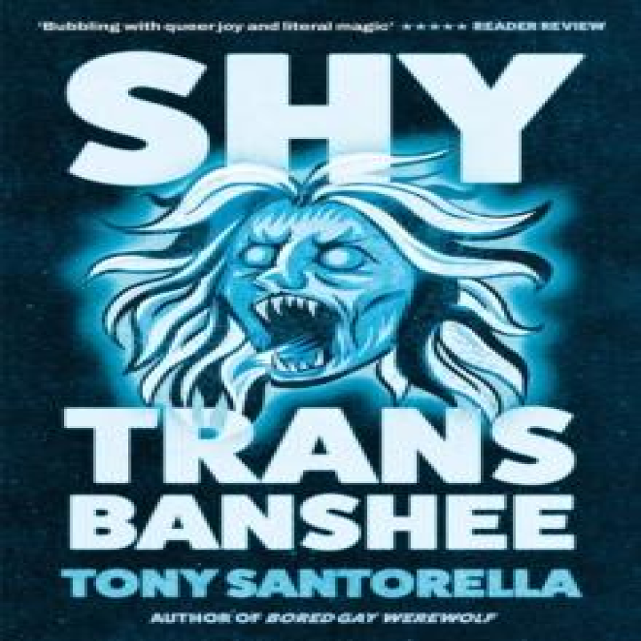 LIVRES Shy Trans Banshee : The supernatural mystery that's an absolute scream