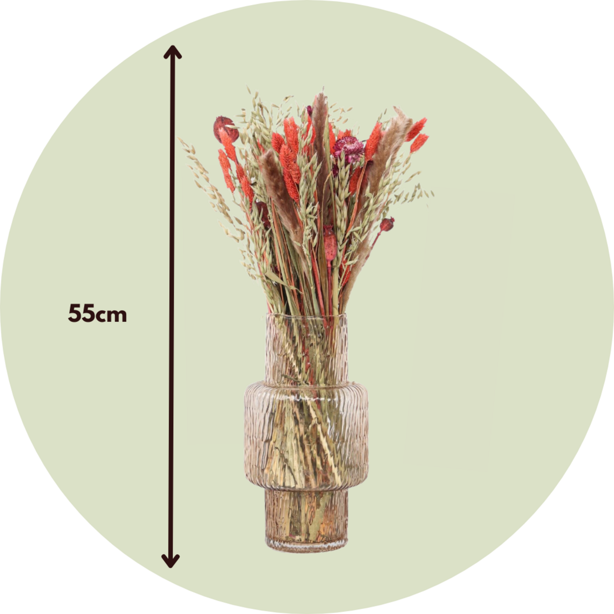 PLANT IN A BOX Fleurs séchées - Bouquet 'Large Zoey'