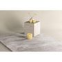 Voir la diapositive 4 : Paris Prix Tapis Design Uni  Blanca  160x230cm Gris Clair