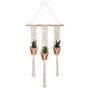 Voir la diapositive 1 : ATMOSPHERA Lot de 3 Plantes Suspendues  Hacienda  68cm Ivoire