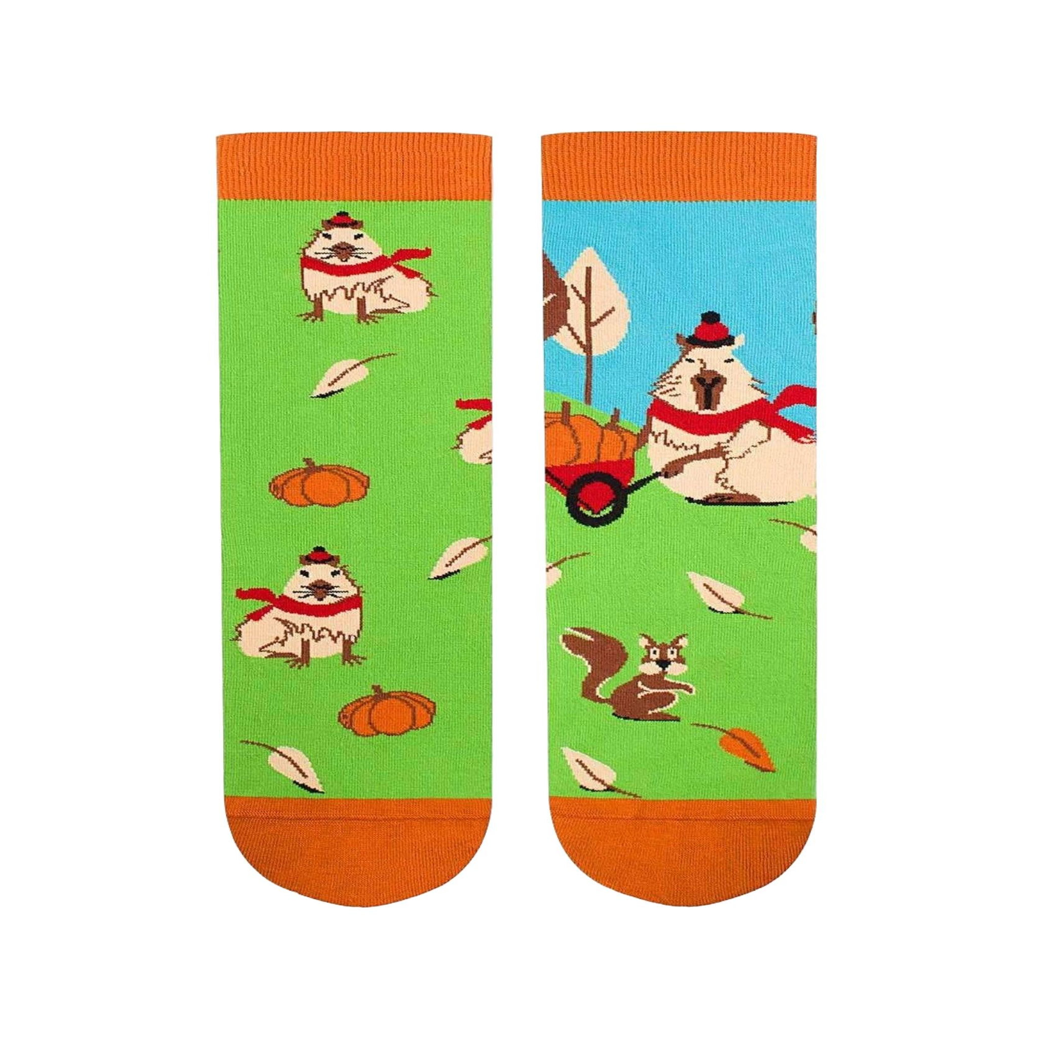 Voir la diapositive 3 : PIRIN HILL Chaussettes arty georges le capybara - vert