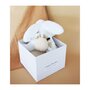 Voir la diapositive 4 : DOUDOU ET COMPAGNIE Doudou et Compagnie - Peluche Lapin -25 cm - Blanc/Sable - Lapin Pompon Naturel - Boite Cadeau - Happy Wild - Happy Doudou To Yo