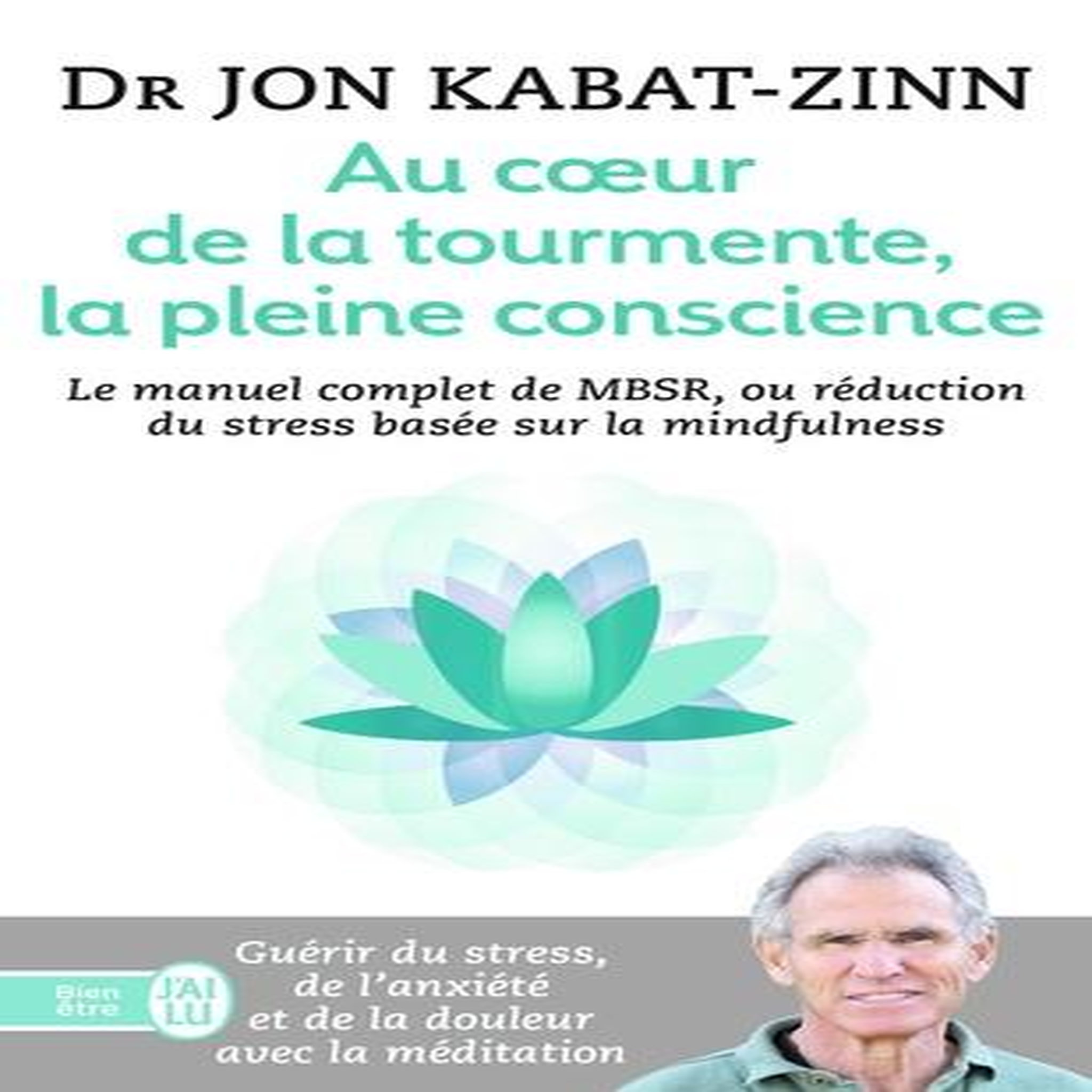AU COEUR DE LA TOURMENTE, LA PLEINE CONSCIENCE. MBSR, LA REDUCTION DU STRESS BASEE SUR LE MINDFULNESS : PROGRAMME COMPLET EN 8 SEMAINES, Kabat-Zinn Jon