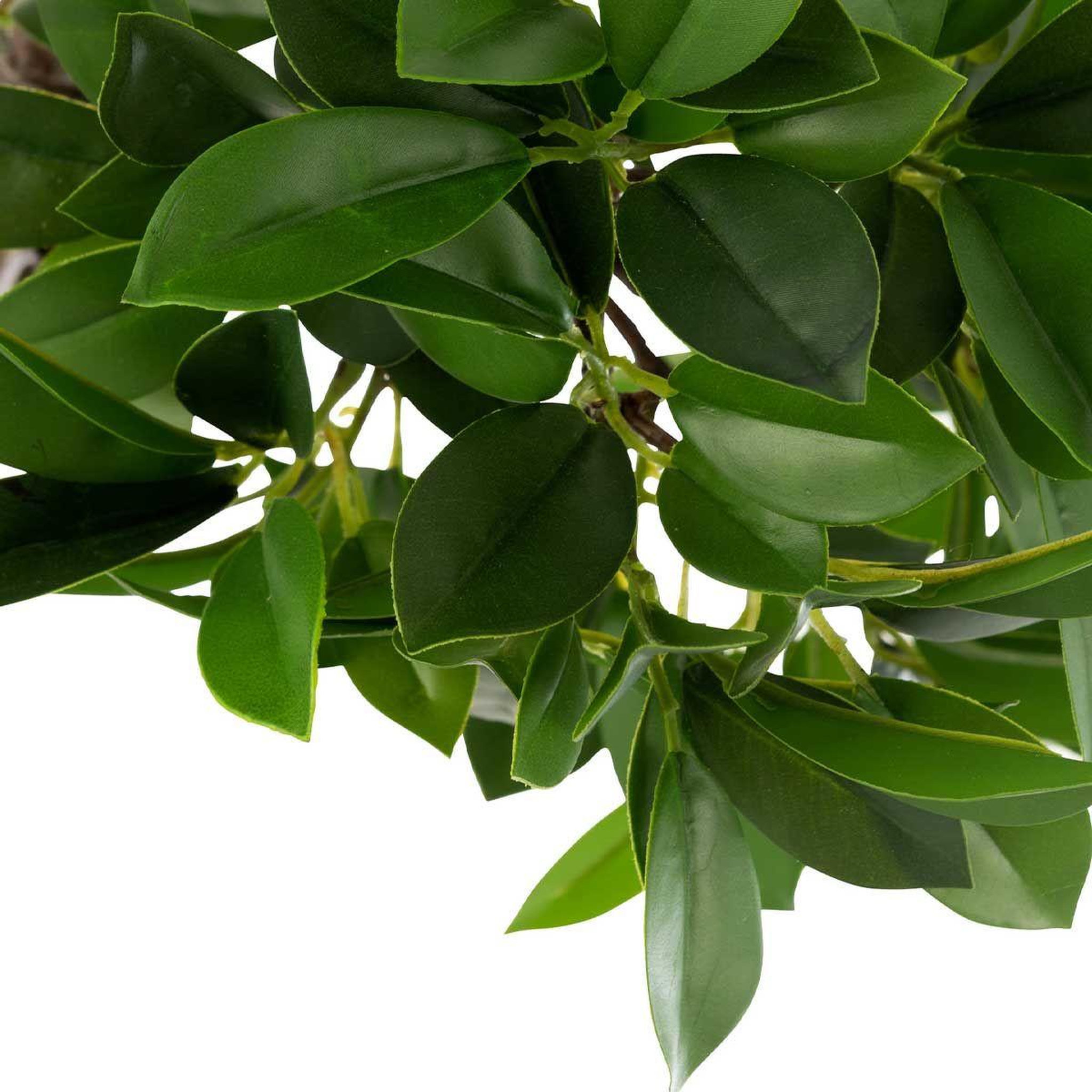 Voir la diapositive 2 : J-LINE Plante artificielle en pot  ficus  37cm vert