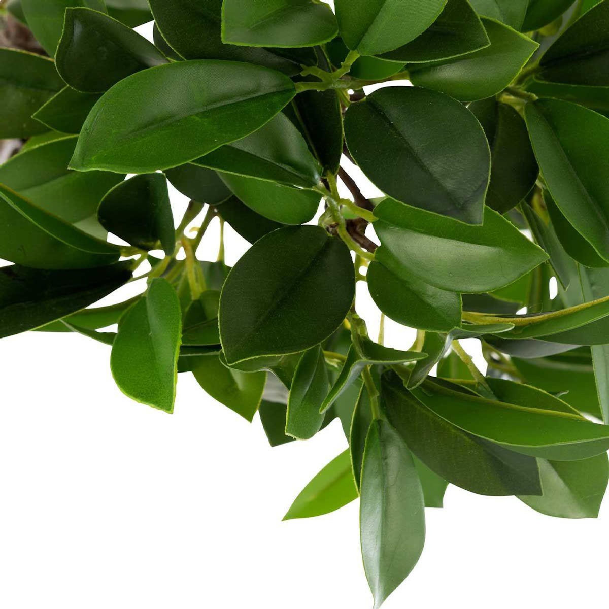 Paris Prix Plante Artificielle en Pot  Ficus  37cm Vert