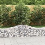 VIDAXL Paniers a gabions arques 20 pcs 200x50x40/60 cm fer galvanise