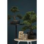 Voir la diapositive 4 : EMERALD Emerald Mini bonsaï Ficus artificiel Vert 47 cm 420006