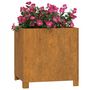 Voir la diapositive 3 : VIDAXL Jardiniere avec pieds Rouille 42x40x43 cm Acier corten