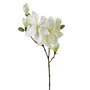 Voir la diapositive 1 : ATMOSPHERA Fleur Artificielle  Magnolia  83cm Blanc