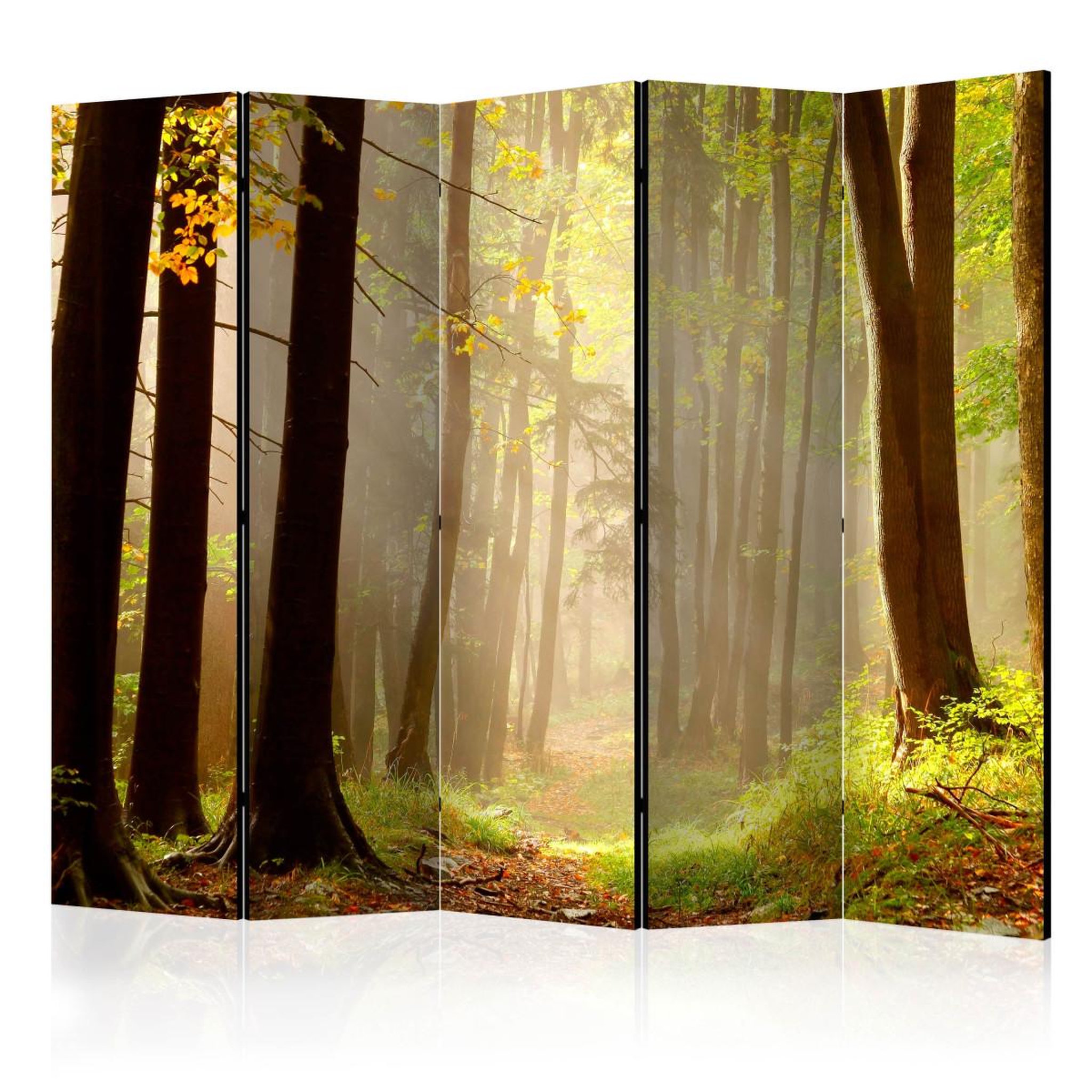 Paris Prix Paravent 5 volets  mysterious forest path  172x225cm