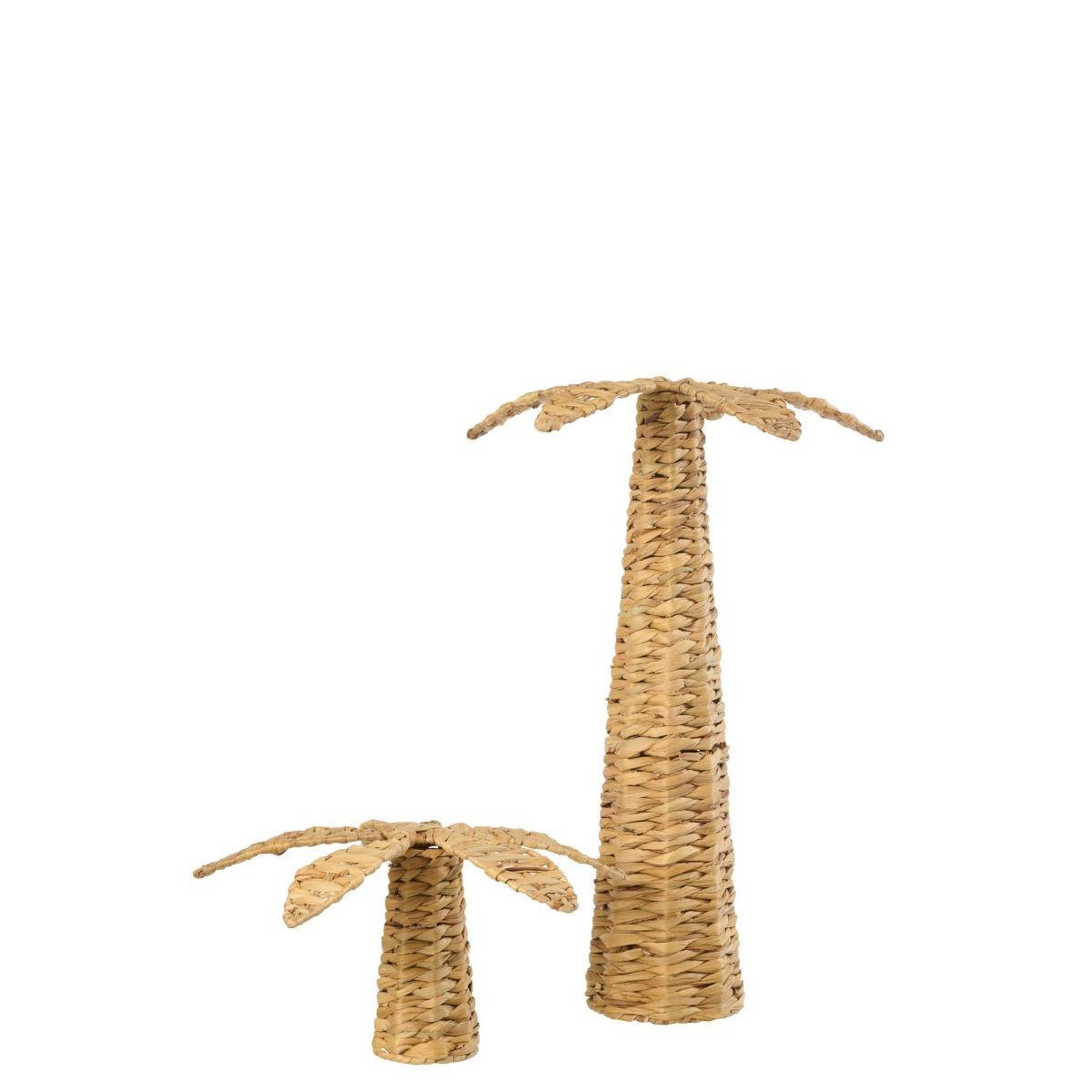 Voir la diapositive 2 : J-LINE Palmier déco en jacinthe  coco  62cm naturel