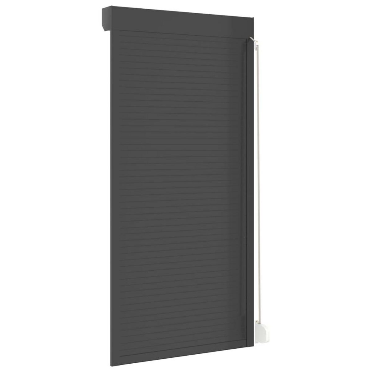 VIDAXL Volet roulant aluminium 100x210 cm anthracite