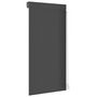 Voir la diapositive 5 : VIDAXL Volet roulant aluminium 100x210 cm anthracite