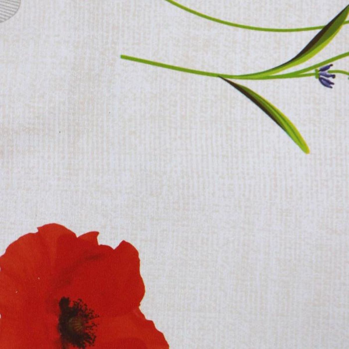 Paris Prix Nappe Imprimé  Sisteron  140x240cm Blanc