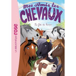 MES AMIS LES CHEVAUX TOME 50 : LA FETE DU HARAS, Thalmann Sophie