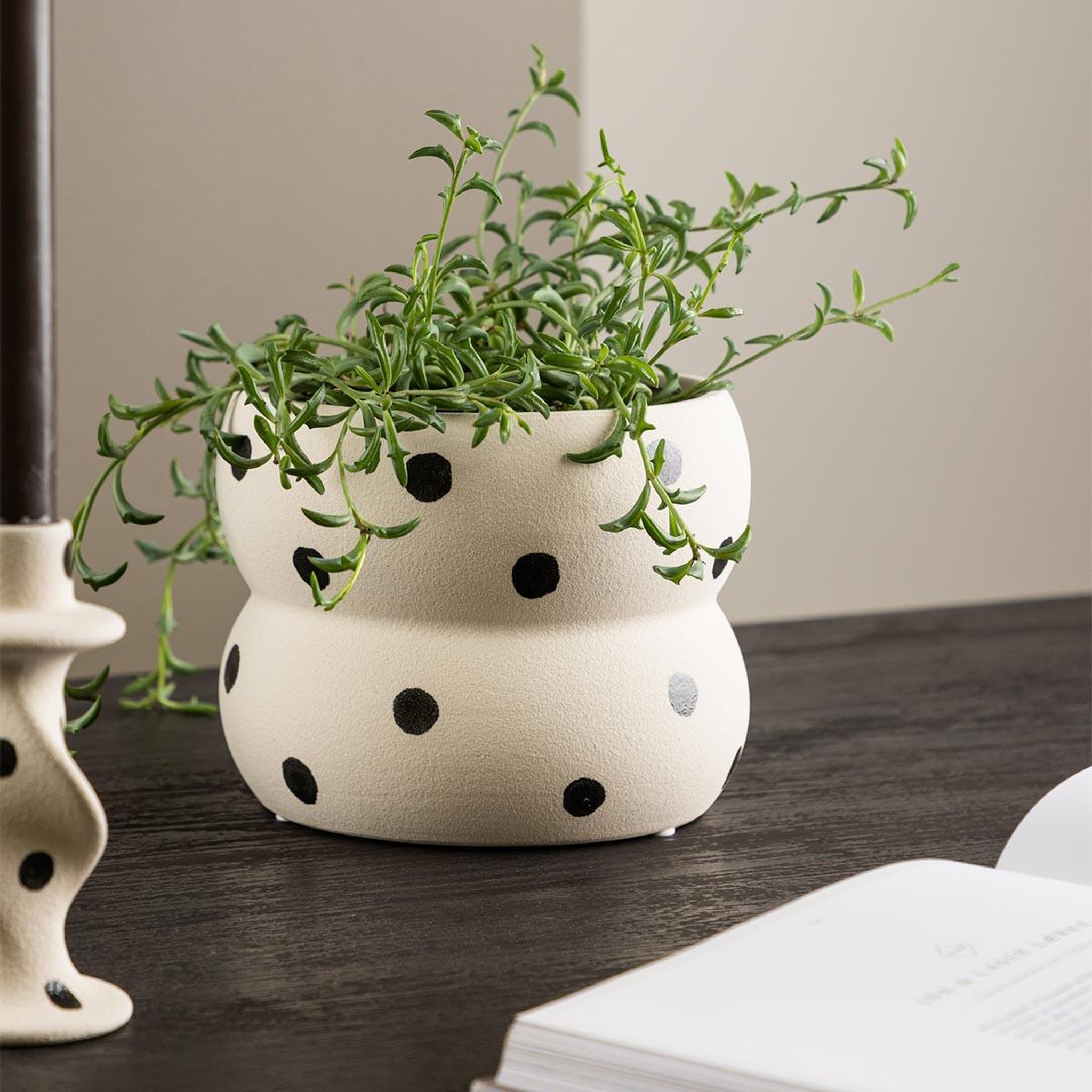 Voir la diapositive 2 : Paris Prix Pot déco en céramique  dapne  16cm blanc & noir
