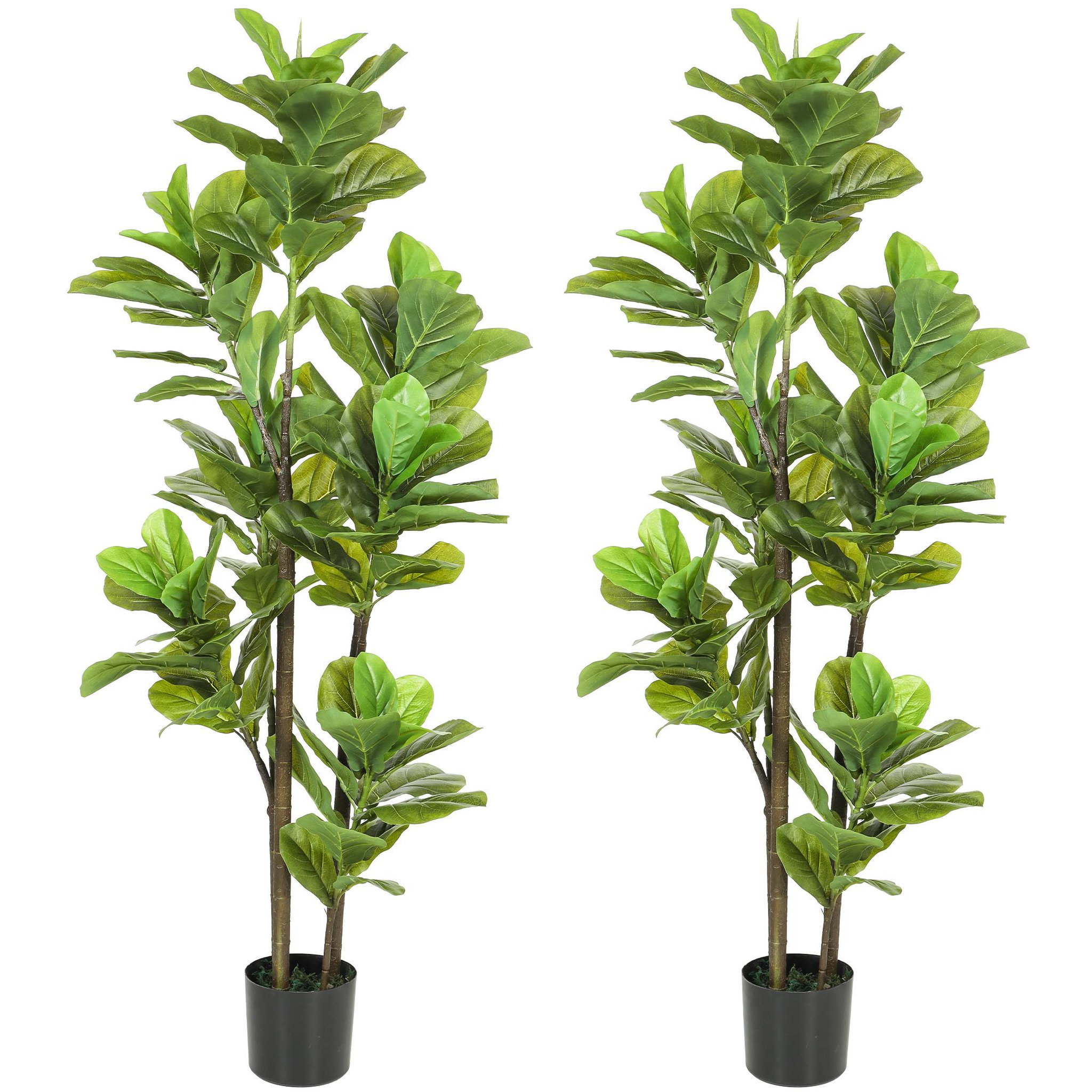 Voir la diapositive 5 : HOMCOM Ficus Lutea artificiels 1,50H m - lot de 2 ficus artificiels - 120 feuilles réalistes par pied - pot inclus noir vert