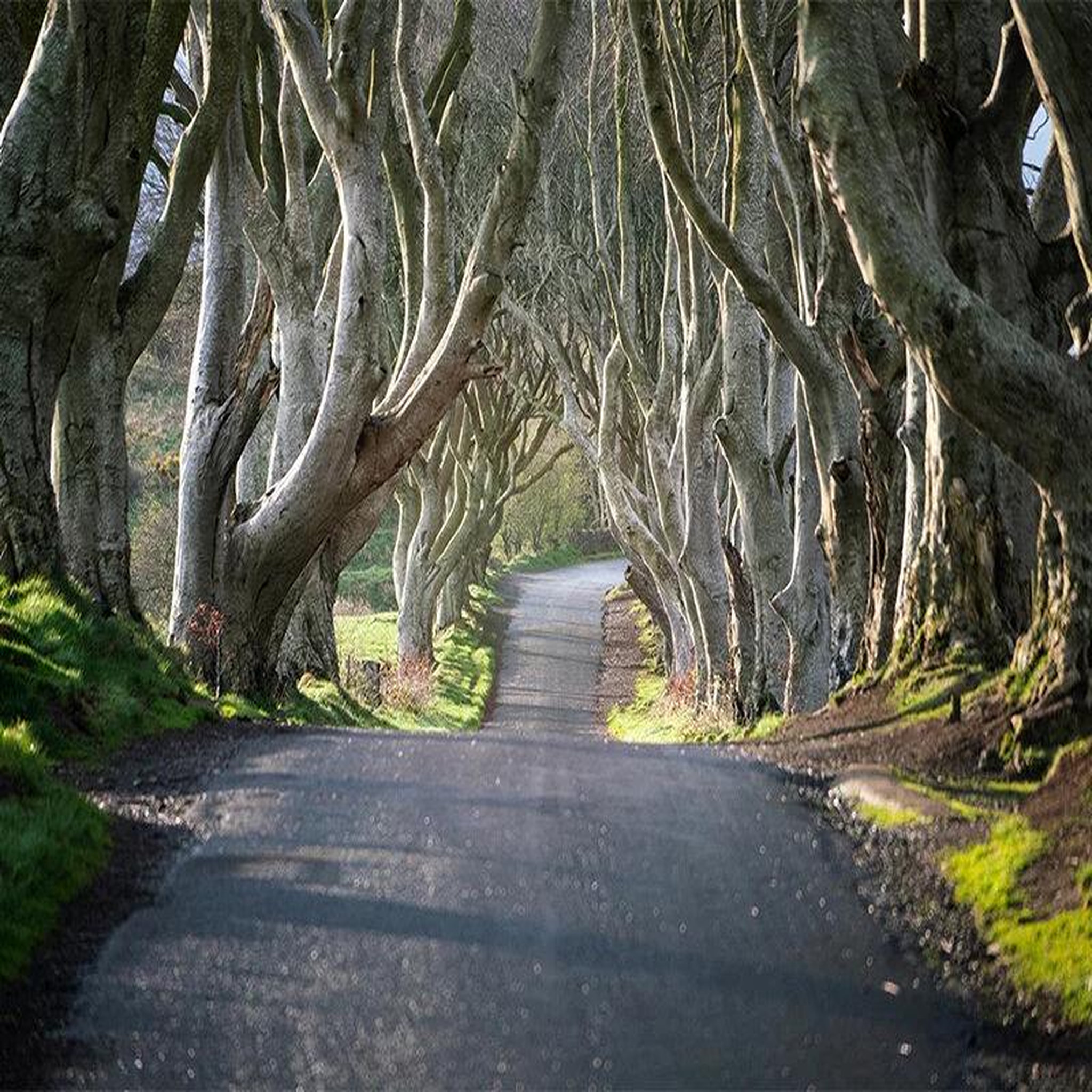 Voir la diapositive 2 : Smartbox 3 jours à belfast à la découverte des lieux de tournage de game of thrones® - coffret cadeau séjour