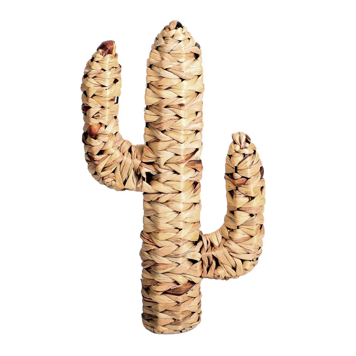 DIVERS Cactus en jacinthe d'eau tressée Natural Living - H. 45 cm - Marron
