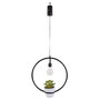 Voir la diapositive 1 : The Home Deco Factory Suspension LED décorative avec plante Garden - H. 35 cm - Noir
