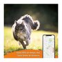 WEENECT Traceur GPS pour Chat - Weenect XS (White Edition 2023)
